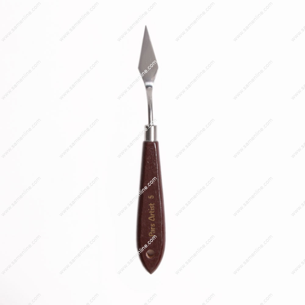 کاردک پارس ارتیست 5